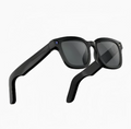 Sunglass Lens     Clear Lens